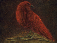 Corvus Rex I thumbnail