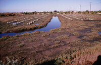Pt. Mugu Wetlands thumbnail