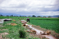 Kaber farm, Irrigating fields 039 thumbnail