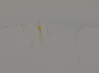 Minimal Angles Landscape thumbnail