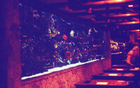 Mirage front desk aquarium "shark tank" thumbnail