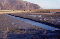 Pt. Mugu Wetlands thumbnail