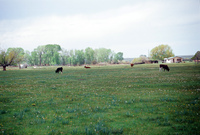Colorado scenery 030 thumbnail