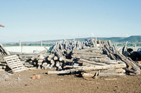 Pilgrimage 030 thumbnail