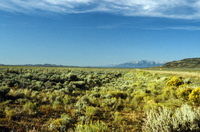 San Luis Valley farms 059 thumbnail