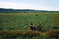 San Luis Valley farms 075 thumbnail