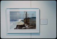 Abalone near Moro Bay thumbnail