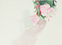Pink Flower White Background thumbnail