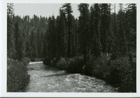 Hearst, William Randolph, Wyntoon, Siskiyou County, California.Photograph thumbnail
