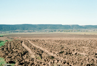 Gallegos farm, Orchards and landscapes 029 thumbnail