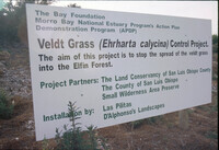 Sign stating the removal of Veldt Grass in Morro Bay thumbnail