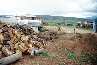 Colorado rural life 019 thumbnail