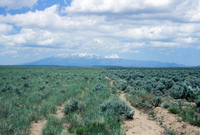 Crops growing in San Luis Valley 018 thumbnail