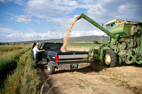 Kaber farm, Tractor driving 028 thumbnail