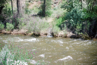 River, plants and mountains 013 thumbnail
