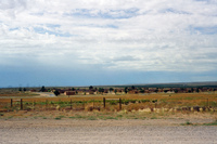 Sunny Valley Inc, Potato farm and processing 003 thumbnail