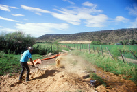 Kaber farm, Plowing and planting winter wheat 012 thumbnail