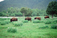 Lake Carrico 020 thumbnail