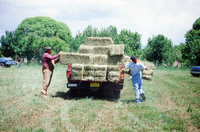 Montoya farm, Hay baling 013 thumbnail