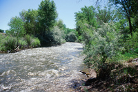 River, plants and mountains 012 thumbnail