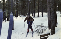 Cross Country Skiing by Shaver Lake Cabin thumbnail