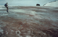 Ice Field containing Algae, South Orkney Island thumbnail