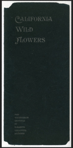 California wild flowers: 12 reproductions in natural colors from water-color drawings thumbnail