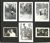 file details
