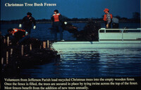 Christmas Tree Bush Fences, Hammock Lake Wetland Protection thumbnail