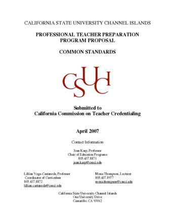 2007 CCTC Common Standards Report thumbnail