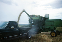 Kaber farm, Threshing oats and baling hay 016 thumbnail