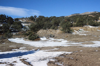 Maps and landscapes 015 thumbnail