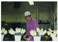 [Man judging flowers] thumbnail