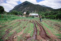 Montoya farm, Irrigating fields 003 thumbnail