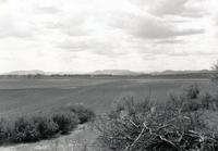 Orchard and valley 003 thumbnail