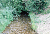 San Luis Valley 005 thumbnail