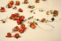 Strawberries thumbnail