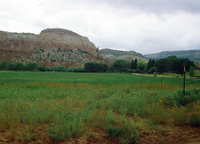 High Desert Research Farm 025 thumbnail