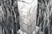 Martinez farm 023 thumbnail