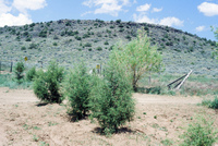 San Luis Valley landscapes 007 thumbnail