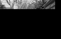 Participants in the 1986 y-Walk thumbnail