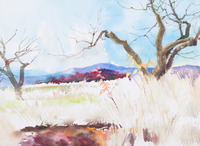 Rural Clovis Landscape thumbnail