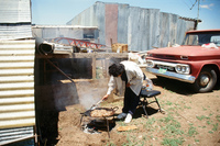 Colorado rural life 007 thumbnail