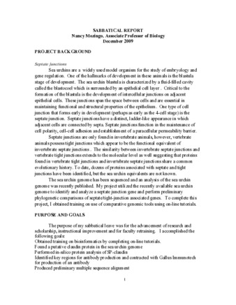 Sabbatical Report thumbnail