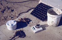 Pt. Mugu Wetlands thumbnail