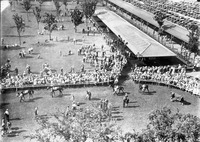 Unidentified race track thumbnail