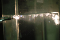 Ctenophore touch tank thumbnail