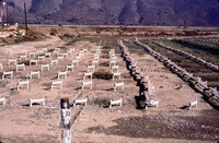 Pt. Mugu Wetlands thumbnail