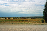 Sunny Valley Inc, Potato farm and processing 005 thumbnail