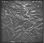 1966 ABG-8GG-313 [Aerial photographs of] Monterey County, California. thumbnail